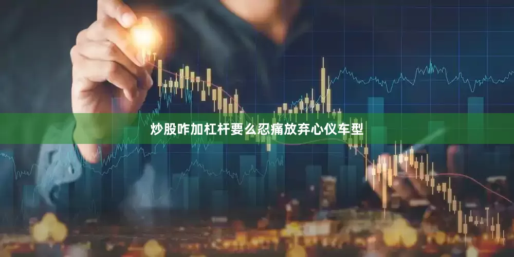 炒股咋加杠杆要么忍痛放弃心仪车型
