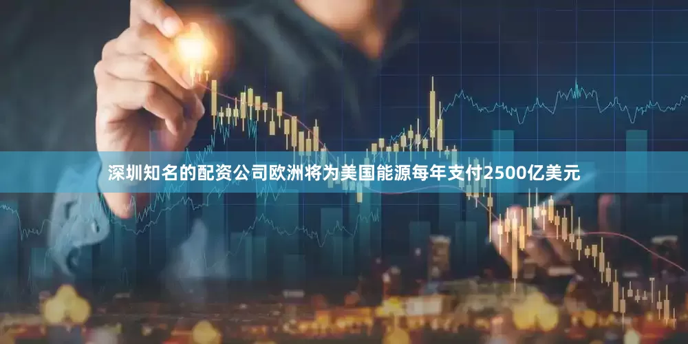 深圳知名的配资公司欧洲将为美国能源每年支付2500亿美元